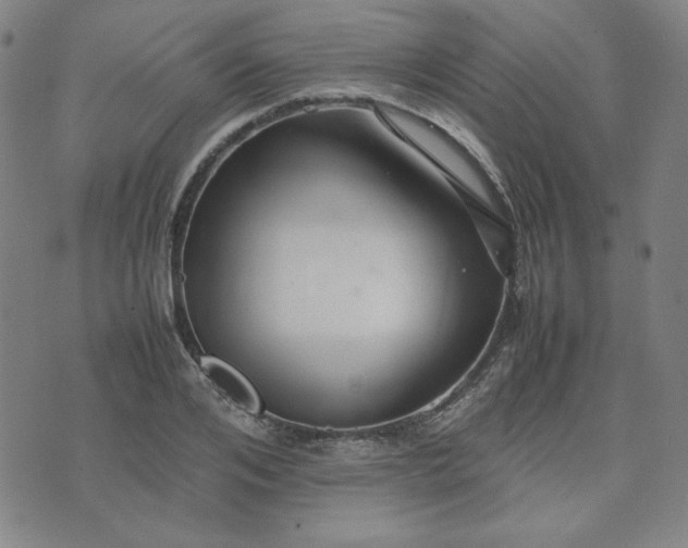 X0000074230984200609011237