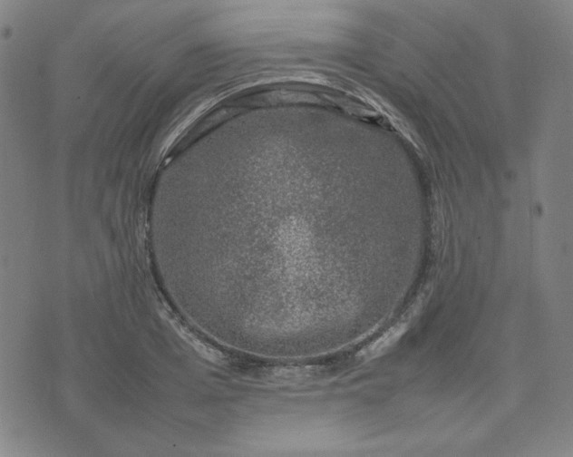 X0000074230985200609011237