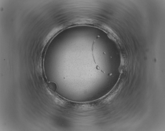 X0000074230986200609011237