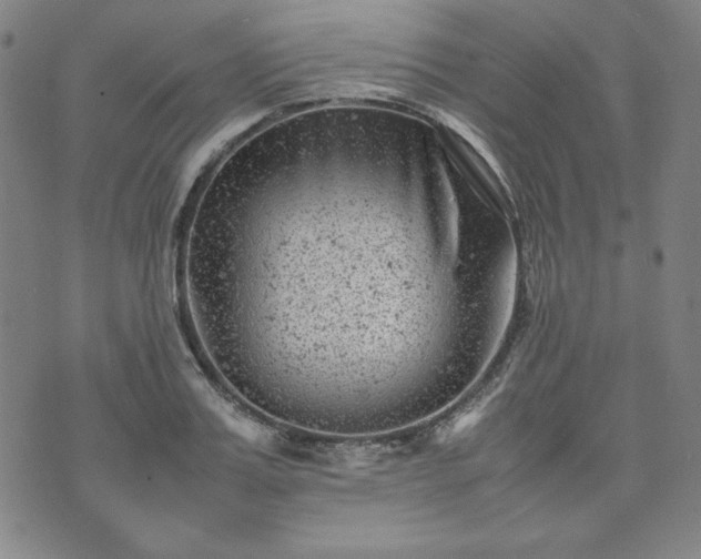 X0000074230987200609011237