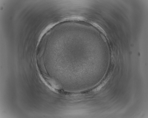 X0000074230989200609011237