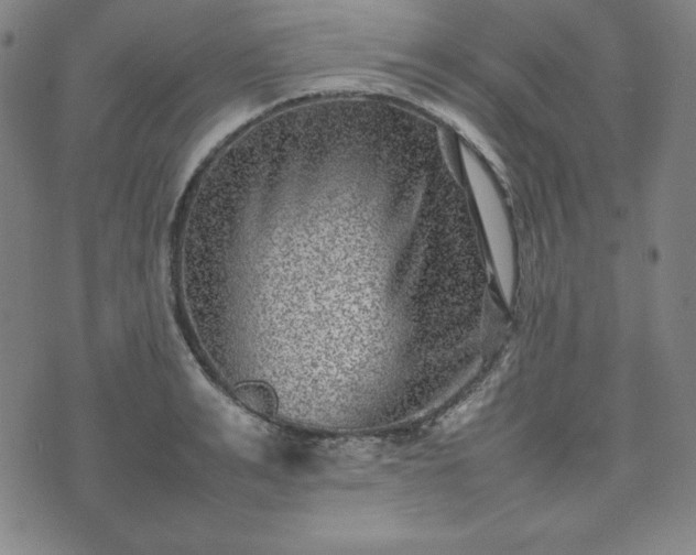 X0000074230991200609011237