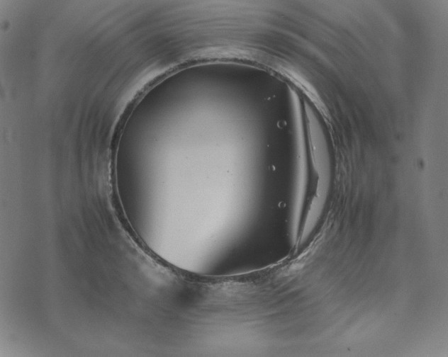 X0000074230992200609011237