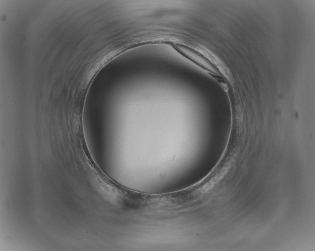 X0000074230993200609011237