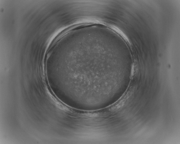 X0000074230996200609011237