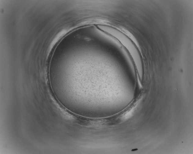 X0000074230997200609011237