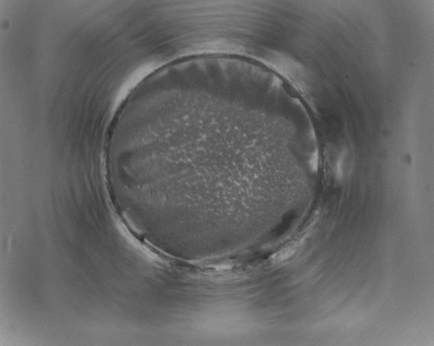 X0000074230998200609011237