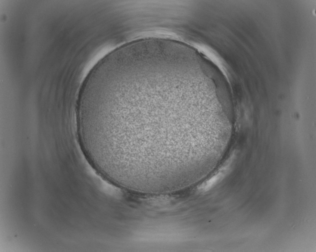 X0000074230999200609011237