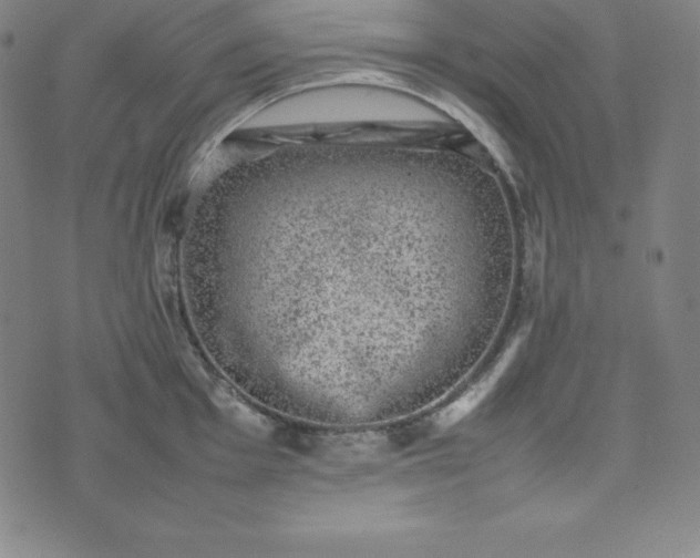 X0000074231001200609011237