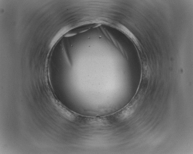 X0000074231002200609011237