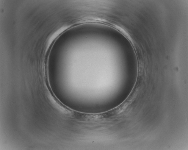 X0000074231003200609011237