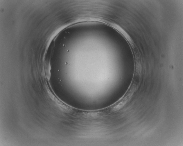 X0000074231004200609011237