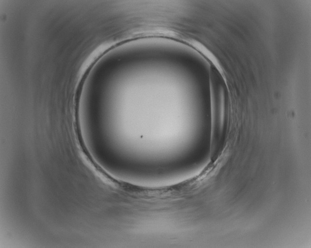 X0000074231005200609011237