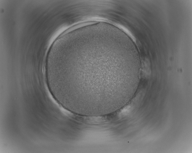 X0000074231007200609011237