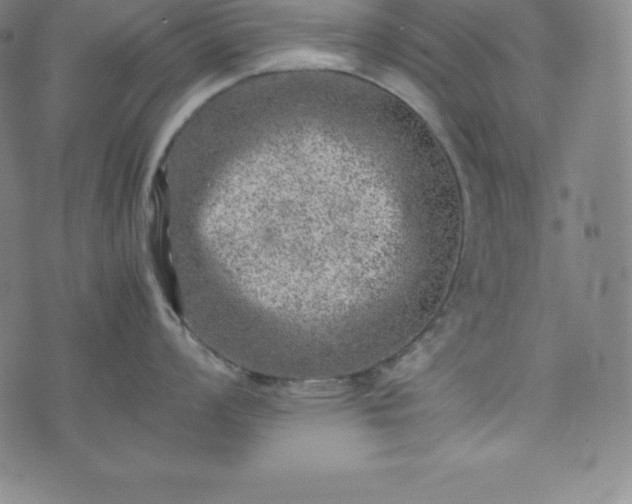 X0000074231008200609011237