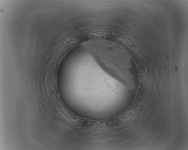 X0000074231009200609011236