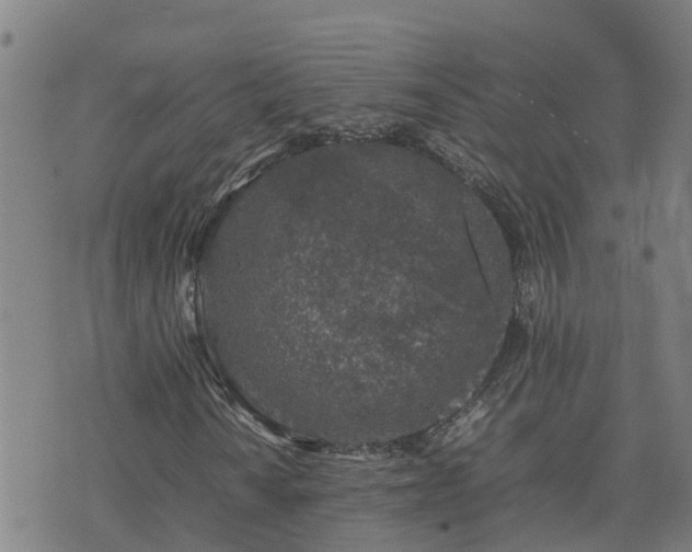 X0000074231010200609011236