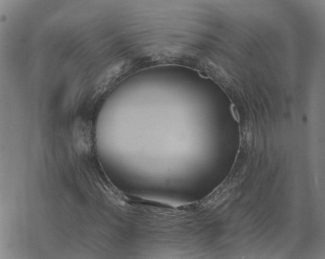 X0000074231012200609011236