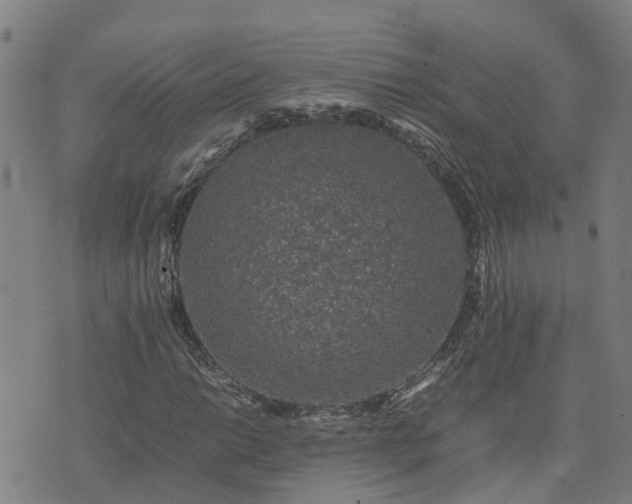 X0000074231014200609011236