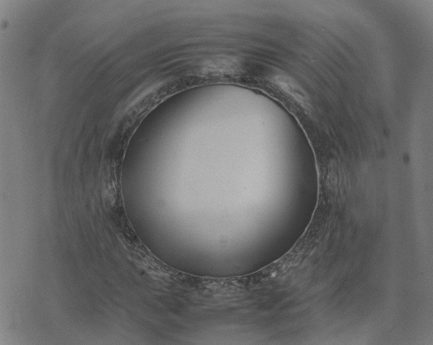 X0000074231015200609011236