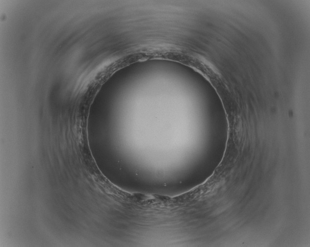 X0000074231016200609011236