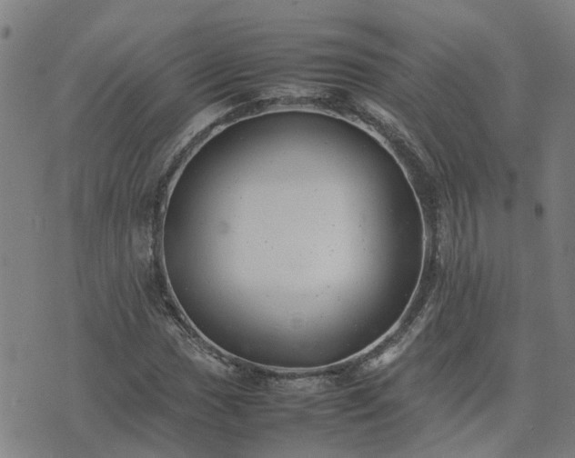 X0000074231017200609011236