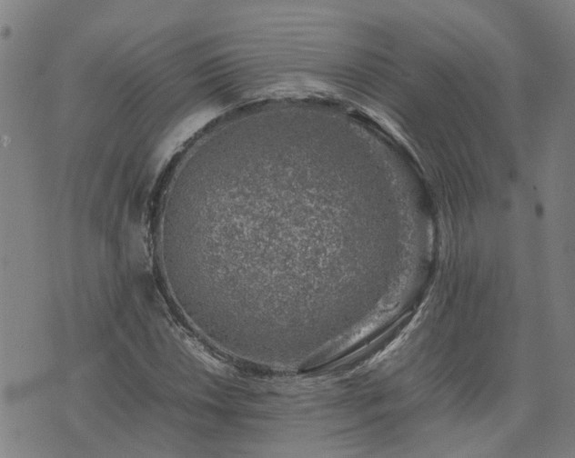 X0000074231018200609011236