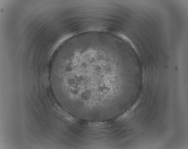 X0000074231019200609011236