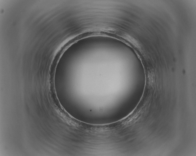 X0000074231020200609011236