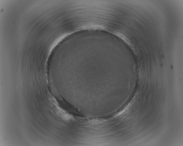 X0000074231022200609011236