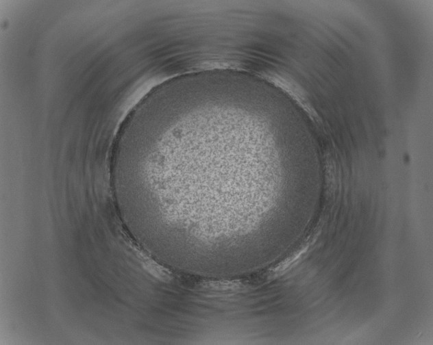 X0000074231023200609011236