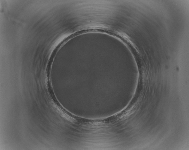 X0000074231024200609011236