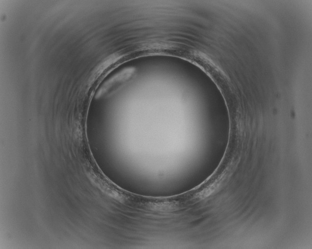 X0000074231025200609011236