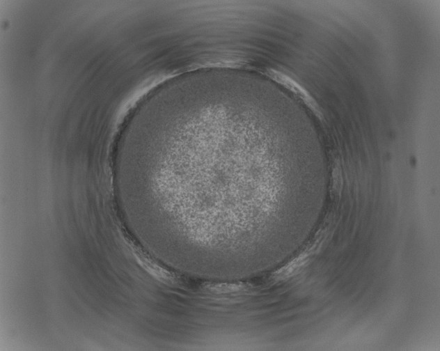 X0000074231027200609011236