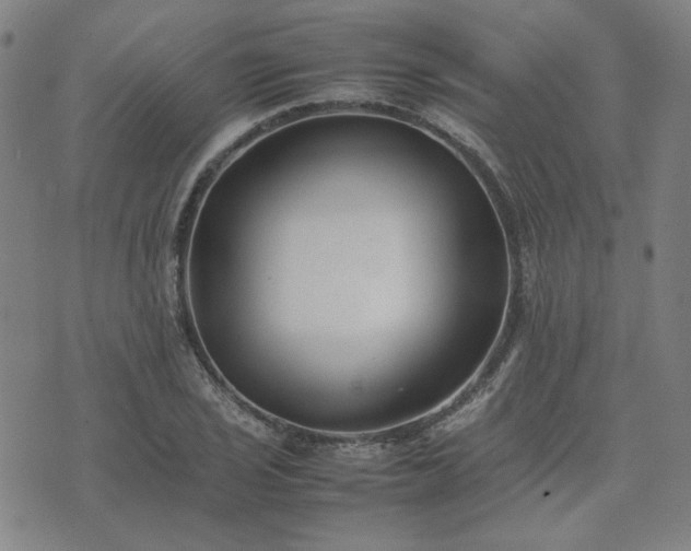 X0000074231029200609011236