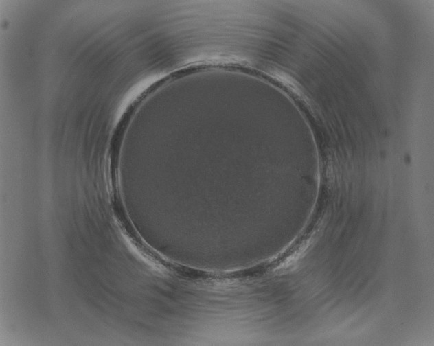 X0000074231030200609011236