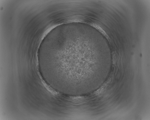 X0000074231031200609011236