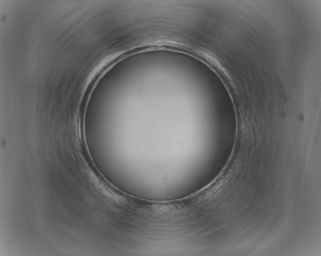 X0000074231032200609011236