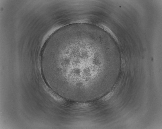 X0000074231035200609011237