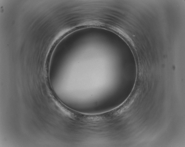 X0000074231037200609011237