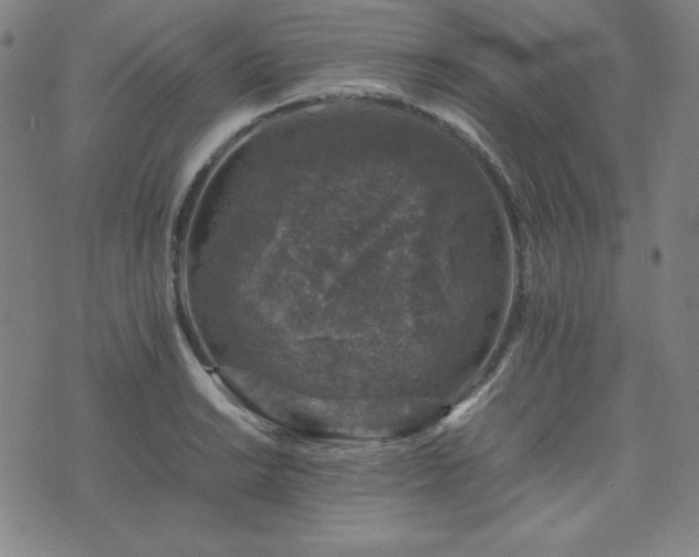 X0000074231038200609011237