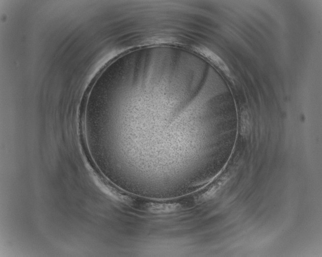 X0000074231039200609011237