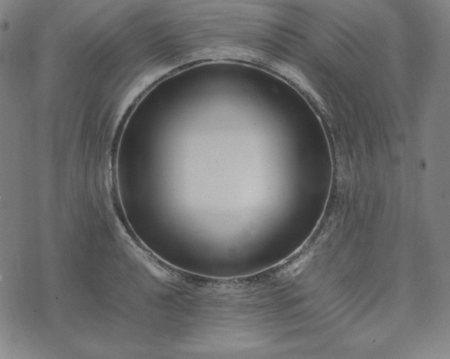 X0000074231040200609011237