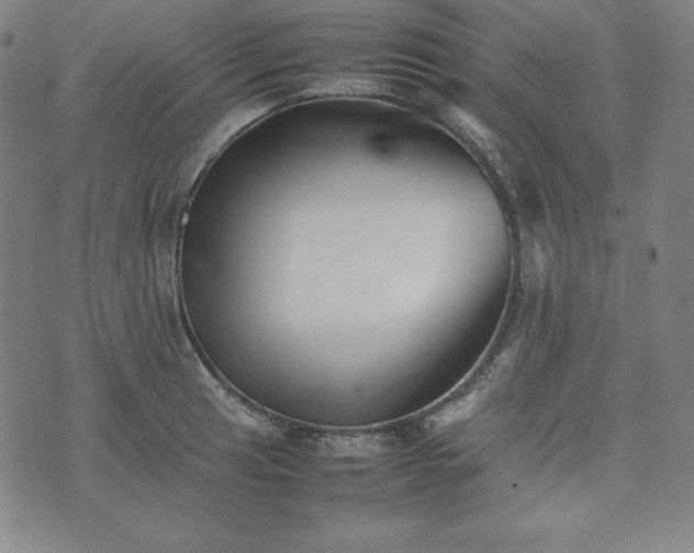 X0000074231041200609011237