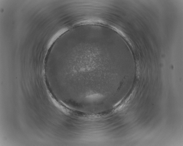 X0000074231042200609011237