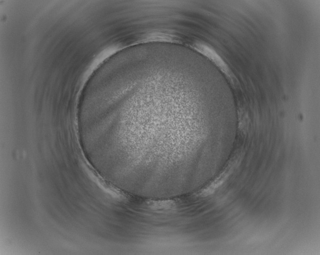 X0000074231043200609011237