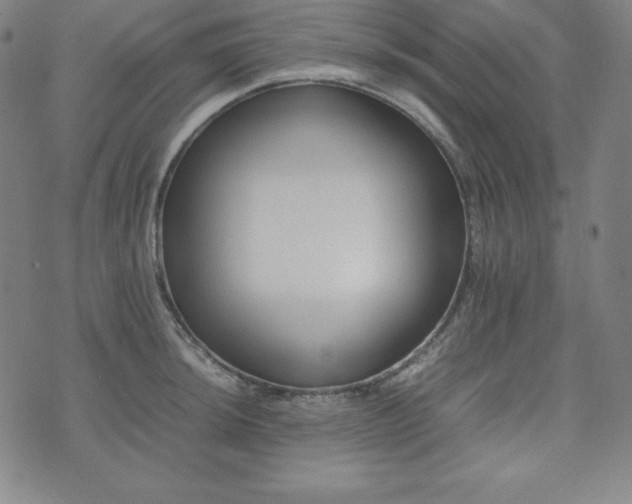 X0000074231044200609011237