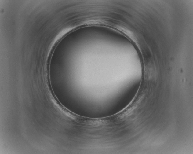 X0000074231045200609011237