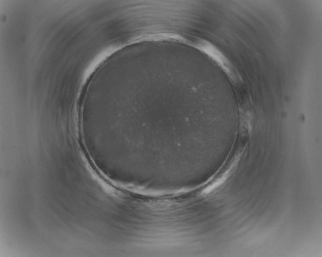 X0000074231046200609011237