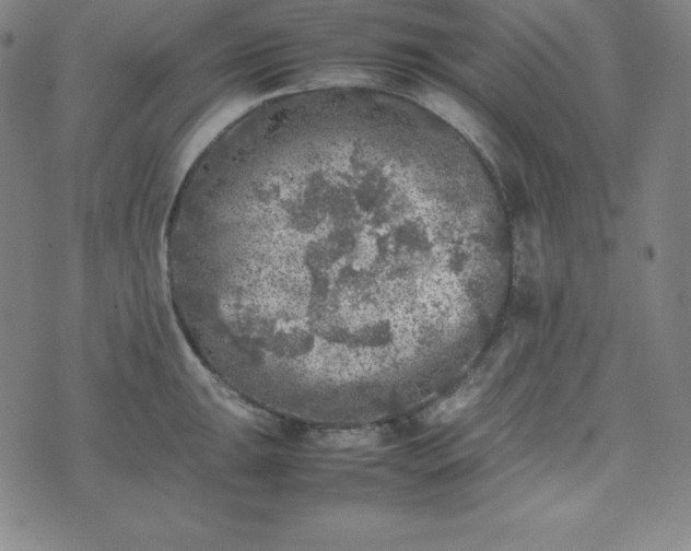 X0000074231047200609011237